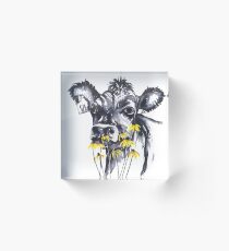 No worries - cow painting Acrylic Block