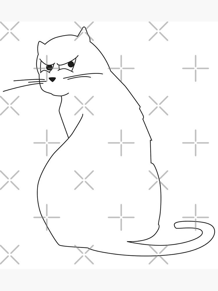 How to draw an angry cat 