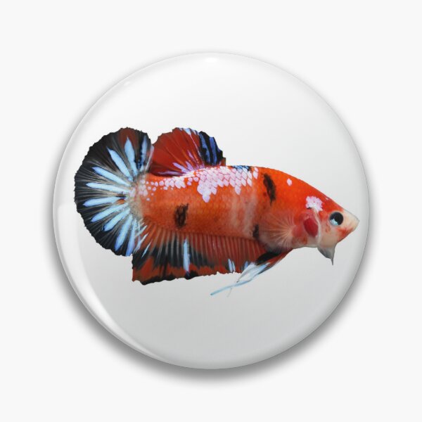 Item preview, Betta: Plakat Halfmoon, Koi designed and sold by Karl The Fish Guy.