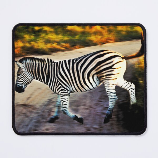 Item preview, Zebra designed and sold by PipsyJ Photography.