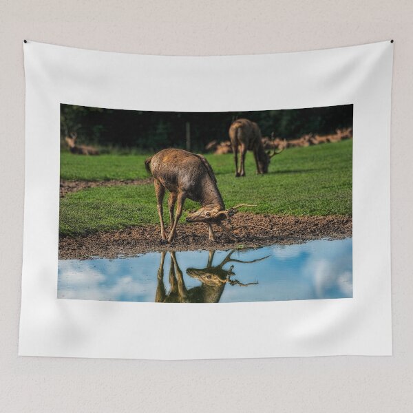 Item preview, I see me 2 designed and sold by Chris Thaxter.