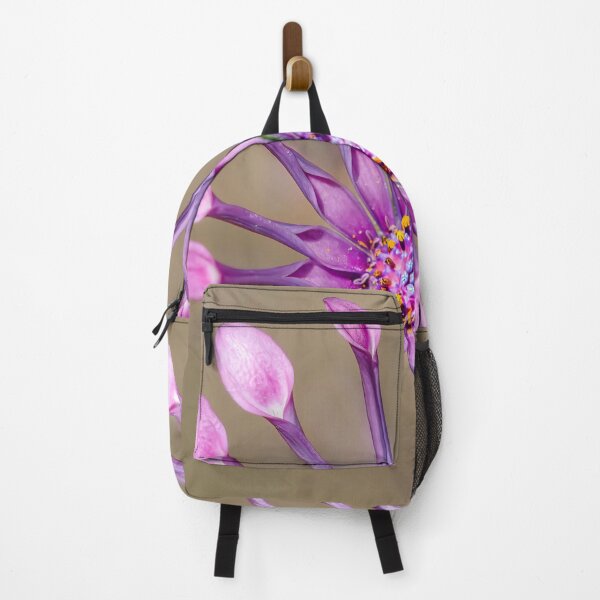 Item preview, Osteospermum Spider designed and sold by Josette Halls.