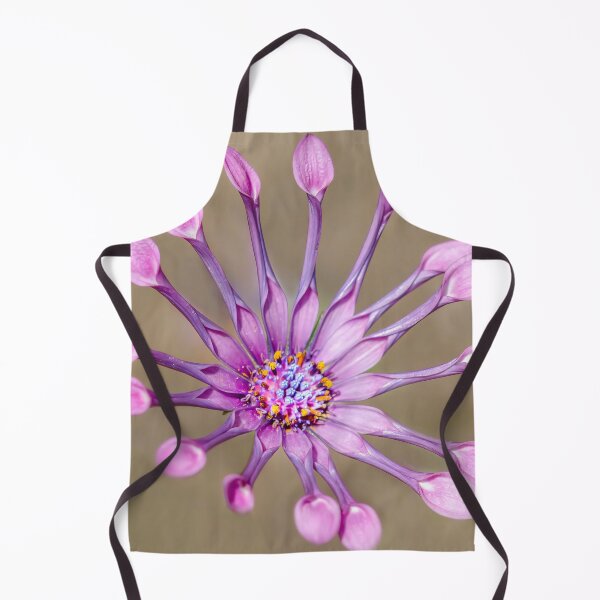 Item preview, Osteospermum Spider designed and sold by Josette Halls.