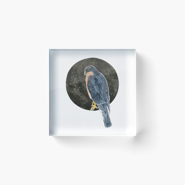 Item preview, Sparrowhawk designed and sold by Isabel Hunter.