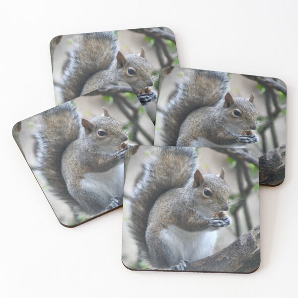 Item preview, Snack Time for Squirrel designed and sold by richardbryce.