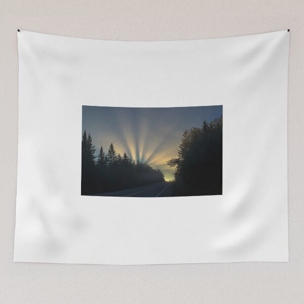 Artikelvorschau, Sonnenaufgang im Algonquin Park entworfen und verkauft von James Cumming.