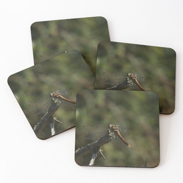 Item preview, Dragonfly Back designed and sold by Nicole Gath.
