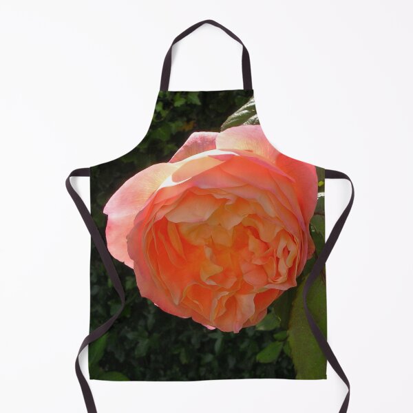 Item preview, Salmon-pink Rose designed and sold by lezvee.