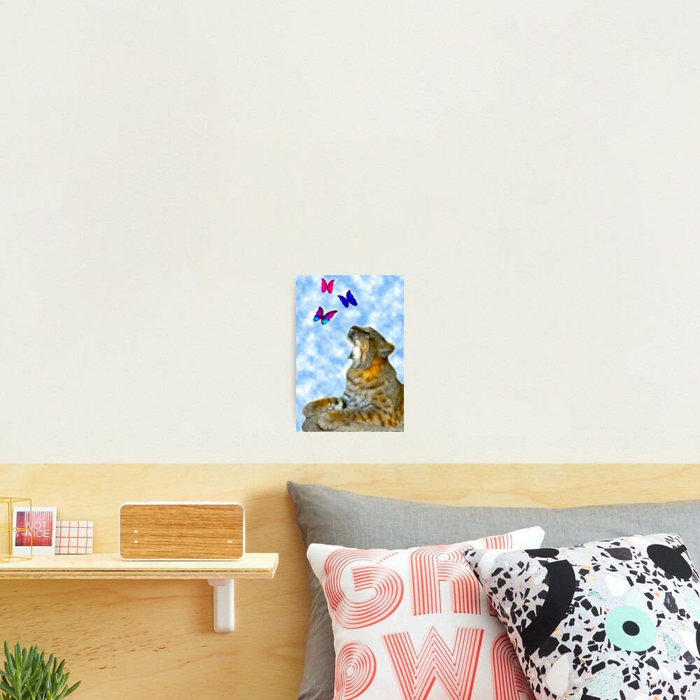 Item preview, Photographic Print designed and sold by mhackett.