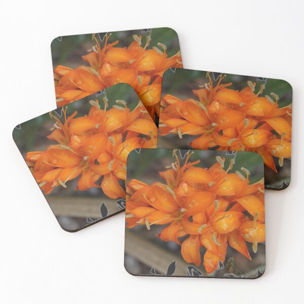 Item preview, Montbretia Coppertips designed and sold by Nicole Gath.