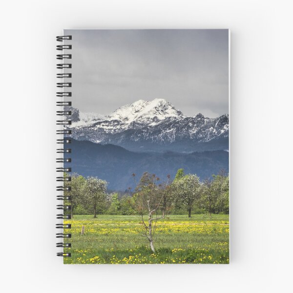 Item preview, Green field with snowy alps designed and sold by Patrik Lovrin.