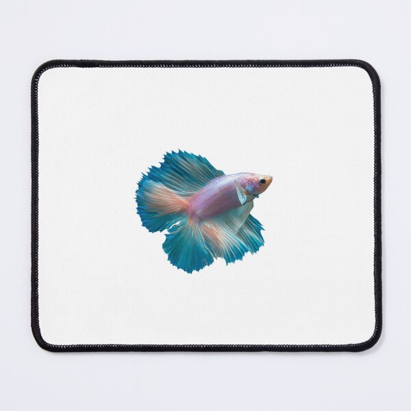 Item preview, Betta: Delta-tail, Sky Blue designed and sold by Karl The Fish Guy.