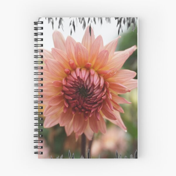 Item preview, Pink Dahlia in Bloom designed and sold by Nicole Gath.