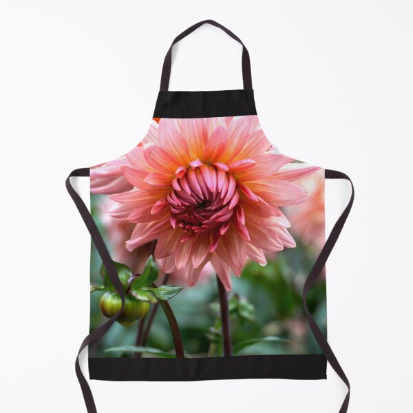 Item preview, Blush Dahlia designed and sold by Nicole Gath.