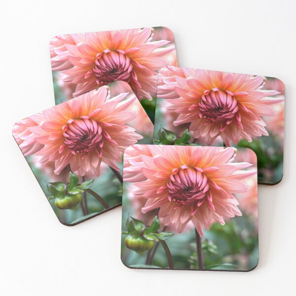 Item preview, Blush Dahlia designed and sold by Nicole Gath.