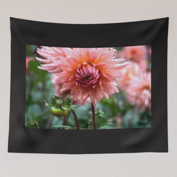 Item preview, Blush Dahlia designed and sold by Nicole Gath.
