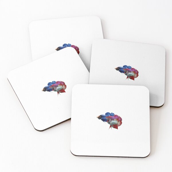Item preview, Betta: Plakat Trio designed and sold by Karl The Fish Guy.