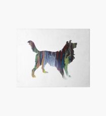 Border collie Art Board