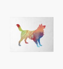 Border collie Art Board