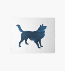 Border collie Art Board