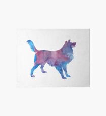 Border collie Art Board