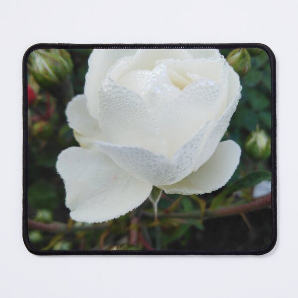 Item preview, A new beginning is always wonderful designed and sold by Raigitam.