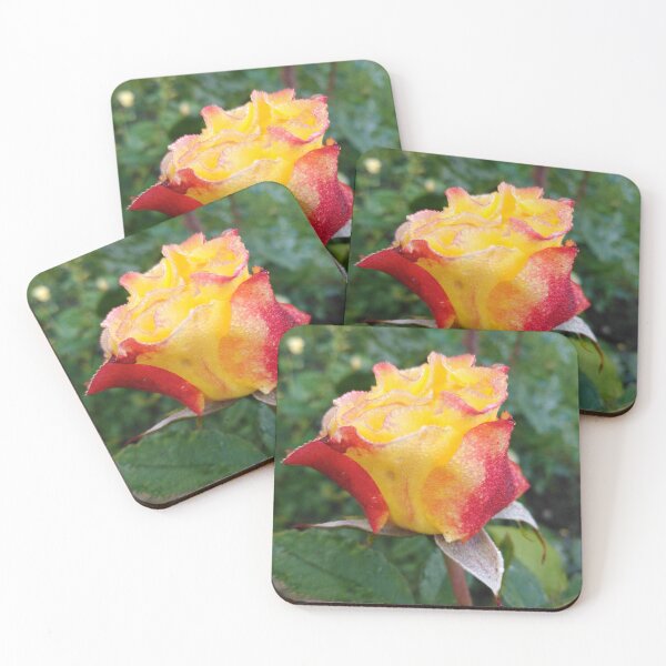 Item preview, Love is like this rose - sometimes in tears but always beautifyl designed and sold by Raigitam.