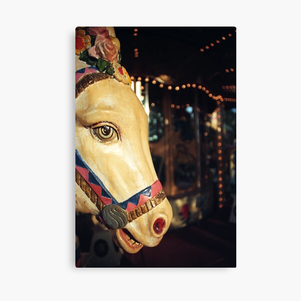 Merry-go-round donkey Canvas Print