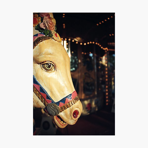 Merry-go-round donkey Photographic Print