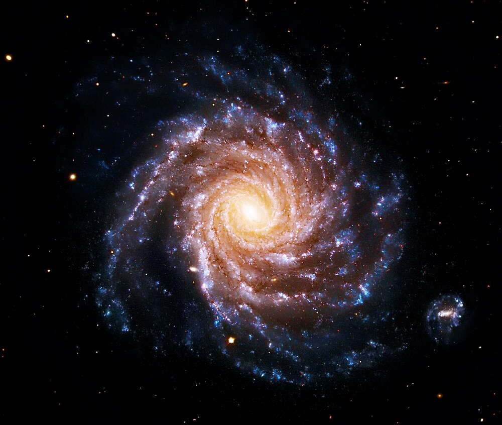 NGC 1232