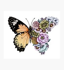 Butterfly in Bloom II Photographic Print