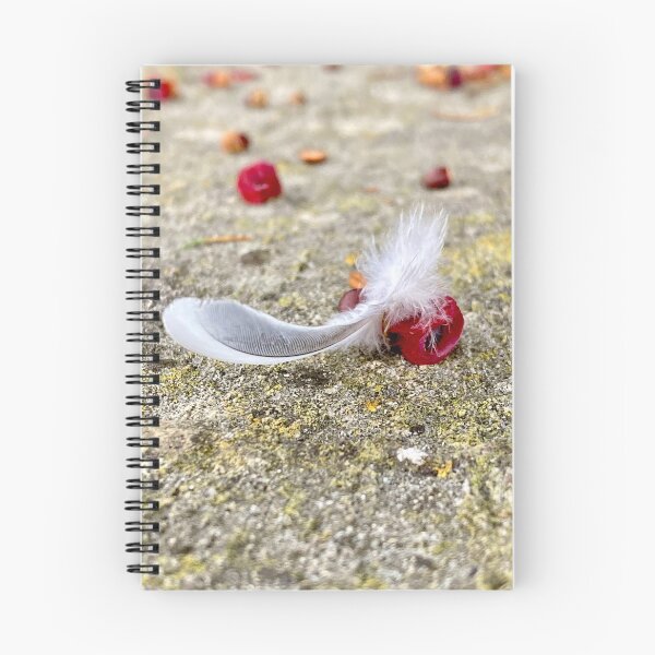Item preview, Grounded designed and sold by Photography  by Mathilde.