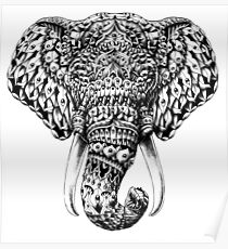 Ornate Elephant Head Poster