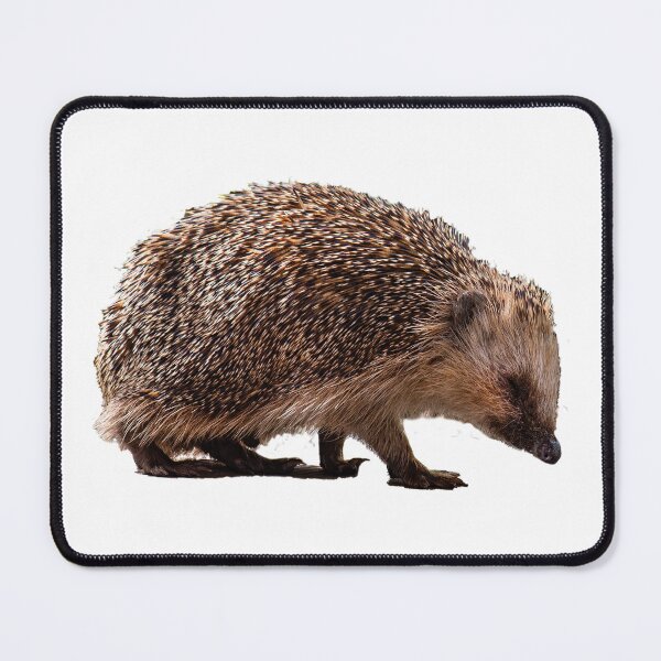 Item preview, Hedgehog designed and sold by Ingo Gerlach.