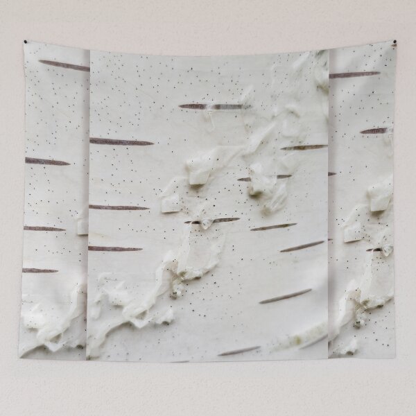 Item preview, Innocent Wonder #1 - Birch Tree Bark designed and sold by AHA-nature.