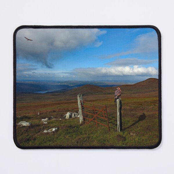 Item preview, Golden Eagles, Strath Brora designed and sold by sandysshoots.
