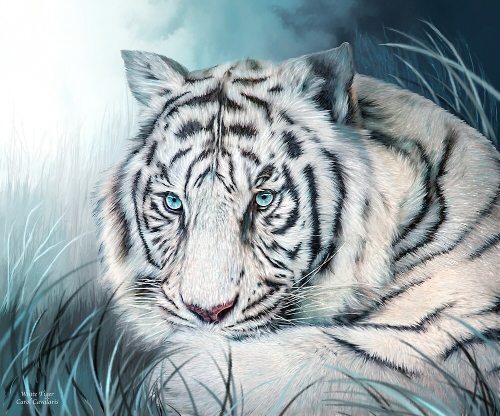 "White Tiger Spirit Of Sensuality" by Carol Cavalaris Redbubble