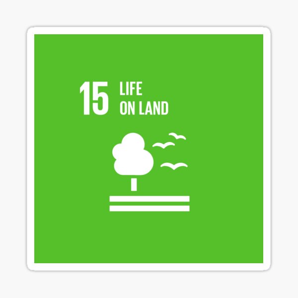 Authentic SDGs Stickers – UNDP Shop