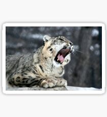 SNOW LEOPARD Sticker