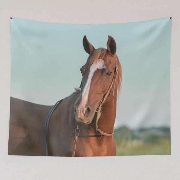 Item preview, Angel - Horse Portrait I designed and sold by HiddenRockRanch.