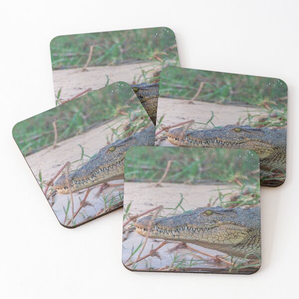 Item preview, Nile Crocodile Lunging into Water designed and sold by SafariByMarisa.
