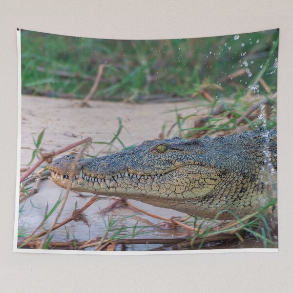 Item preview, Nile Crocodile Lunging into Water designed and sold by SafariByMarisa.