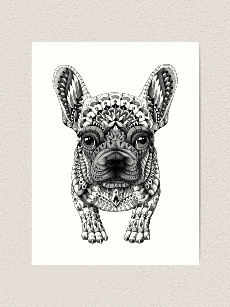 frenchie french