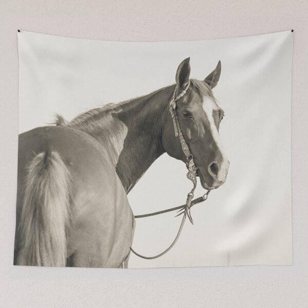 Item preview, The Noble Horse IV designed and sold by HiddenRockRanch.