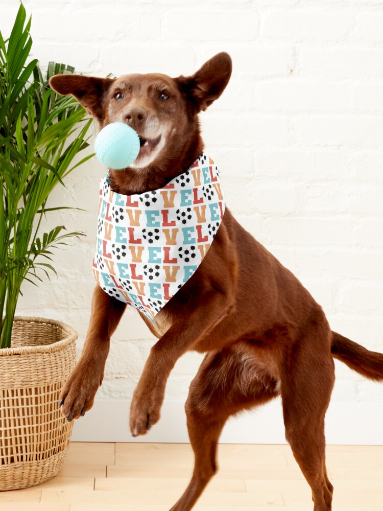 Girls Love Football Dog Bandana