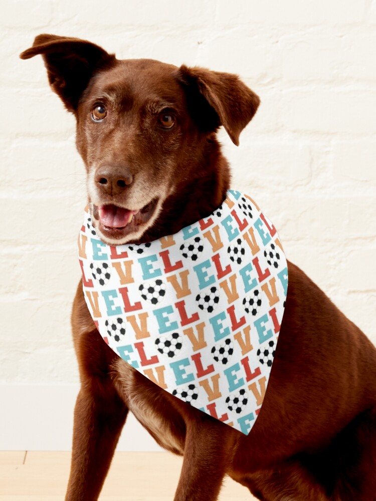 Girls Love Football Dog Bandana