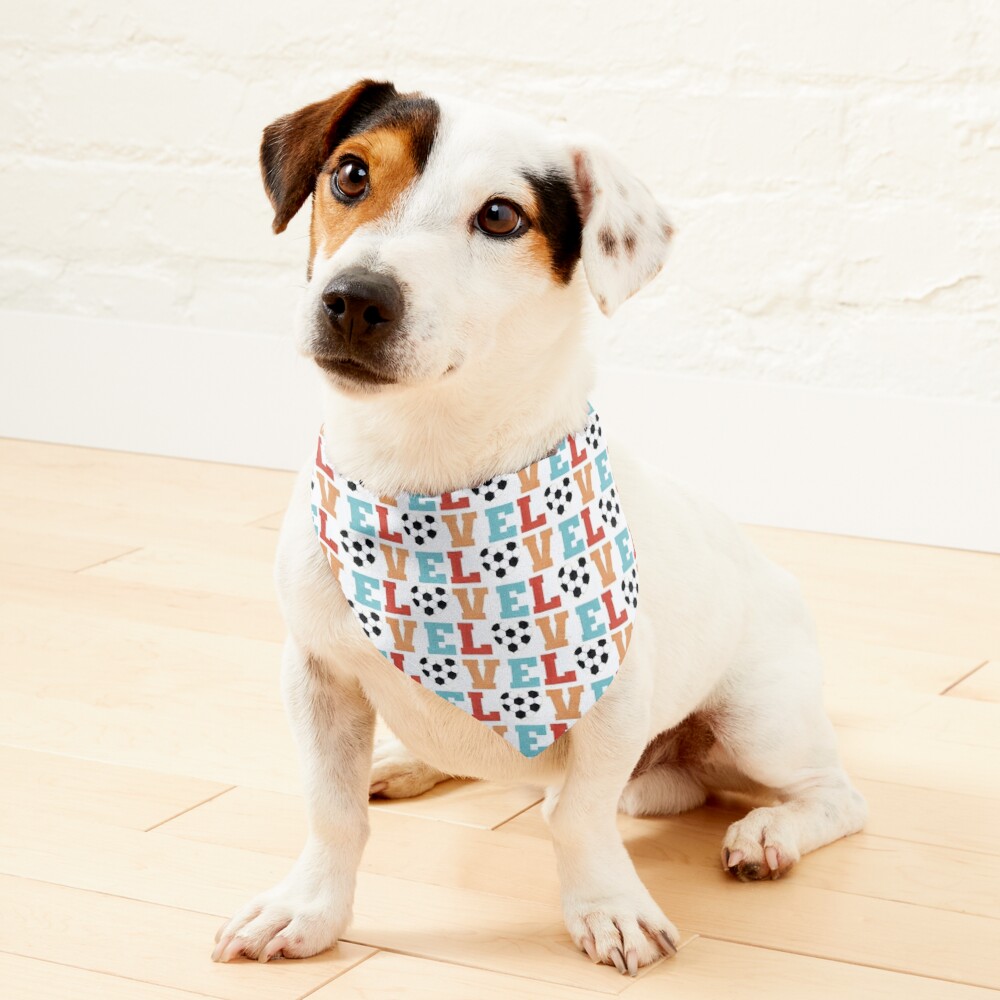 Girls Love Football Dog Bandana