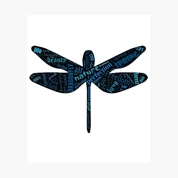 Dragonfly Photographic Print