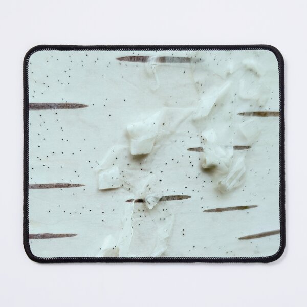 Item preview, Innocent Wonder #2 - Birch Tree Bark designed and sold by AHA-nature.