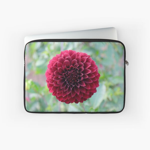 Item preview, Red Dalia designed and sold by Brian Eberly.